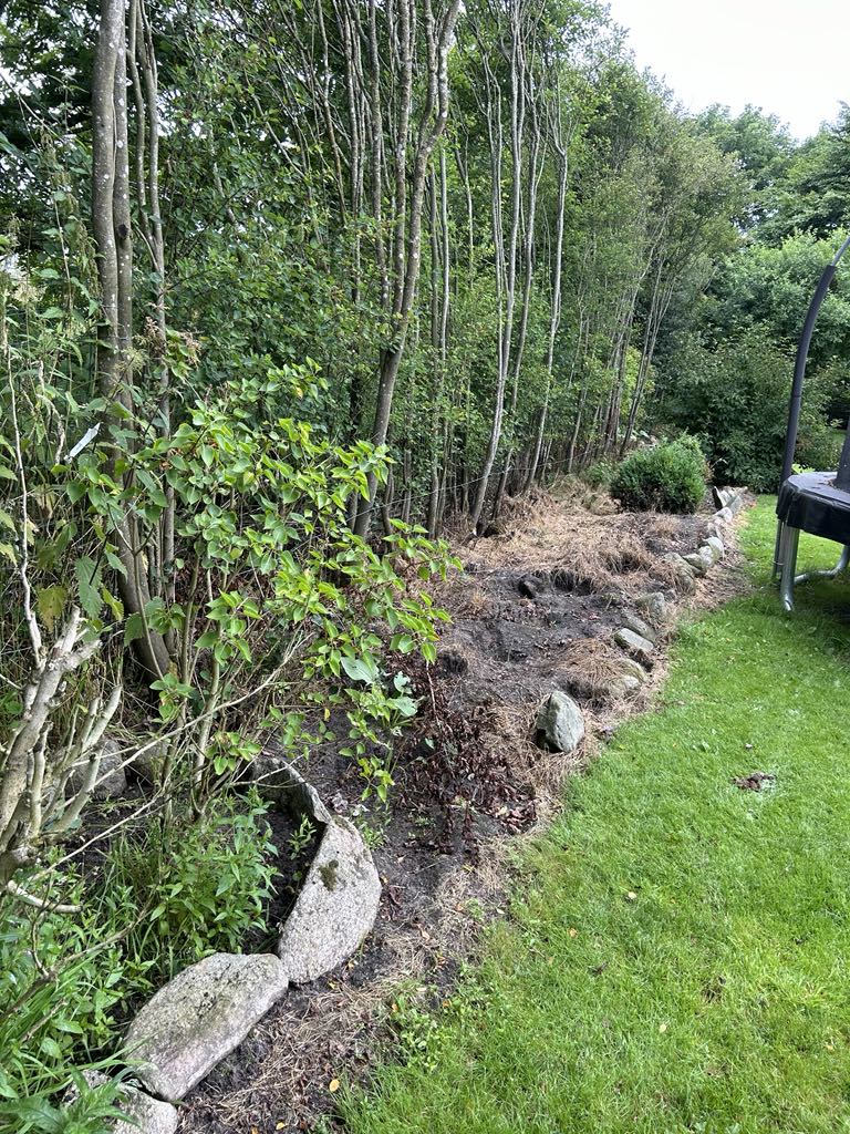 beskæring of fældning af træer
