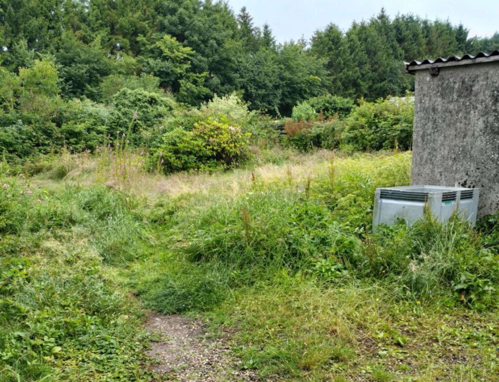 havemand Kolding, rydning af have før